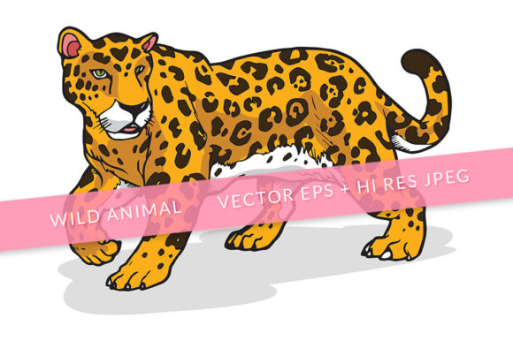 Download Jaguar Animal Illustration - Illustration Collection