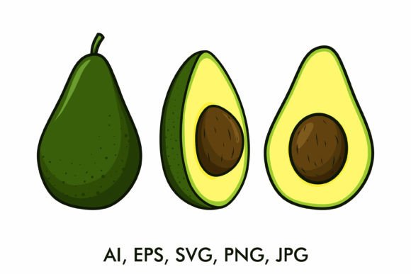 Download Avocado Vector Drawing Set - Drawing Collection