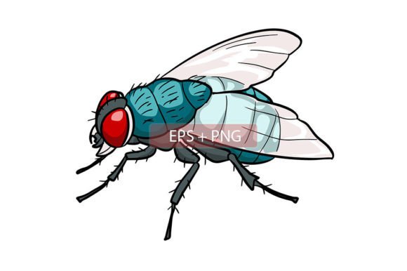 Download Flies Insect Animal Illustration - Illustration Collection