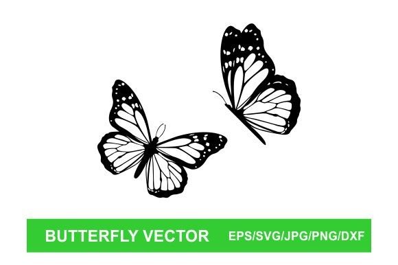 Download Butterfly Vector - Butterfly vector Collection