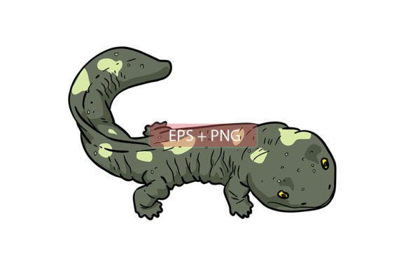 Download Salamander Lizard Animal Illustration - Illustration Collection