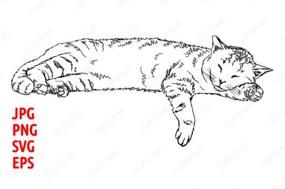 Download Sleeping Cat Illustration Clipart - Illustration Collection