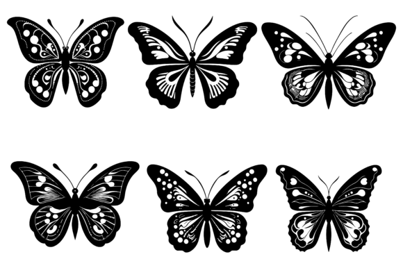 Download Butterfly Vector Illustration - Butterfly vector Collection