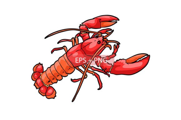 Download Lobster Prawn Sea Animal Illustration - Illustration Collection
